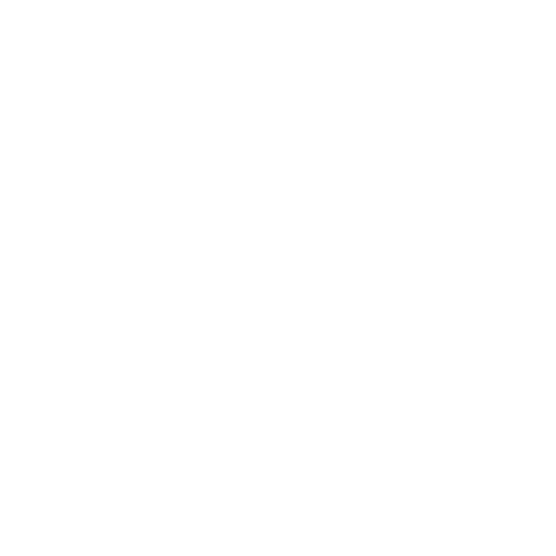 涉外服务