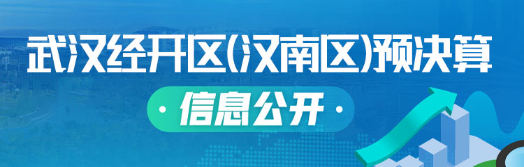 武汉经开区（汉南区）预算决算