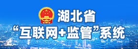 湖北省“互联网+监管”系统