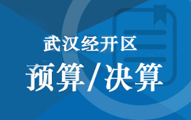武汉经开区预算/决算