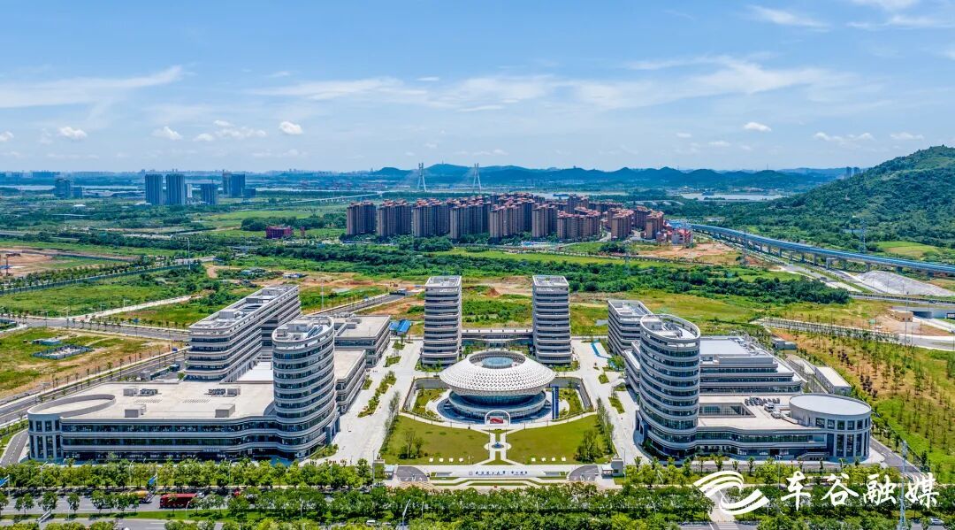 微信图片_2025-10-23_105343_965.jpg